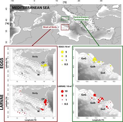 Coupling Lagrangian simulation models and remote sensing to explore the environmental effect on larval growth rate: The Mediterranean case study of round sardinella (Sardinella aurita) early life stages